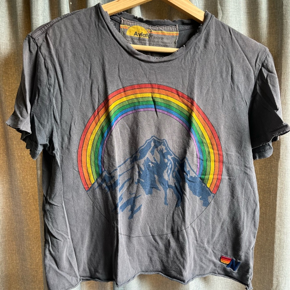 Aviator Nation Gray and Red Crop Top Rainbow Design